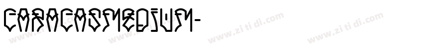 CaracasMedium字体转换