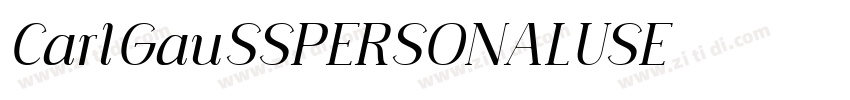 CarlGauSSPERSONALUSE字体转换
