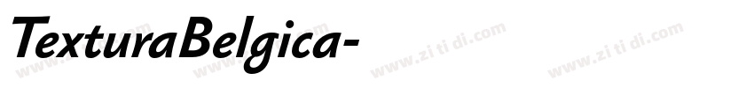 TexturaBelgica字体转换