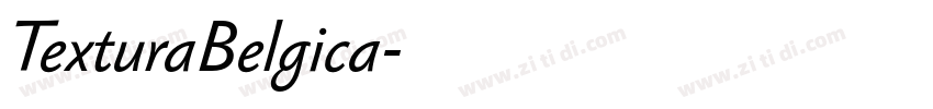 TexturaBelgica字体转换