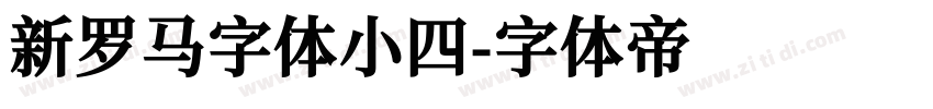 新罗马字体小四字体转换