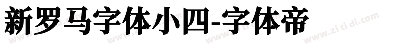 新罗马字体小四字体转换