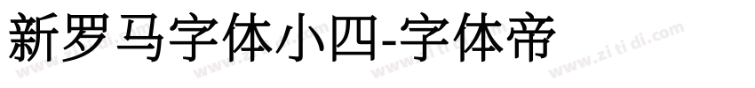 新罗马字体小四字体转换