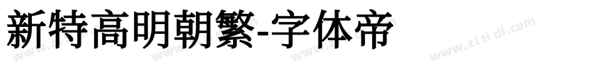 新特高明朝繁字体转换