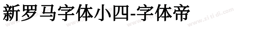 新罗马字体小四字体转换