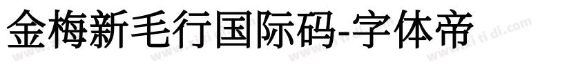 金梅新毛行国际码字体转换