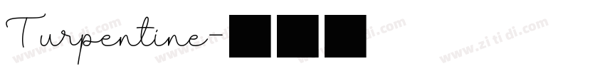 Turpentine字体转换