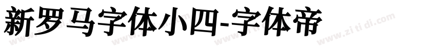 新罗马字体小四字体转换