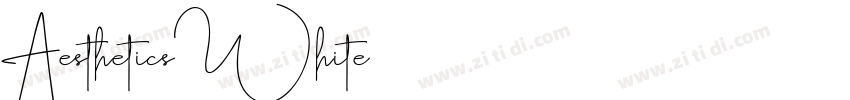 AestheticsWhite字体转换