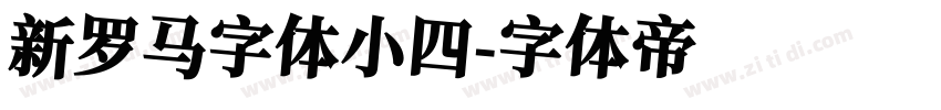 新罗马字体小四字体转换