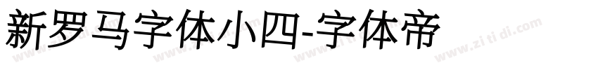 新罗马字体小四字体转换