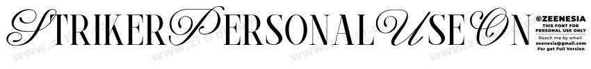 StrikerPersonalUseOn字体转换