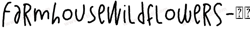 FarmhouseWildflowerS字体转换