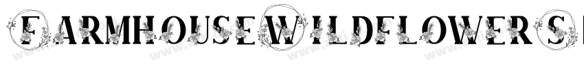 FarmhouseWildflowerS字体转换