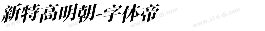 新特高明朝字体转换