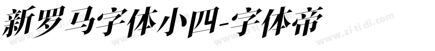 新罗马字体小四字体转换