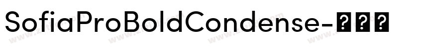 SofiaProBoldCondense字体转换