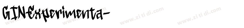 GINExperimenta字体转换