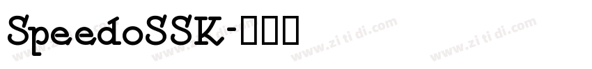SpeedoSSK字体转换