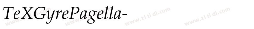 TeXGyrePagella字体转换