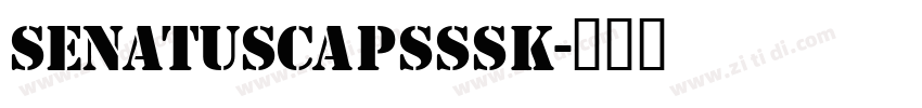 SenatusCapsSSK字体转换