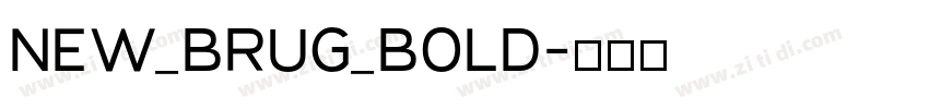 NEW_BRUG_Bold字体转换