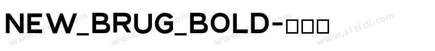 NEW_BRUG_Bold字体转换