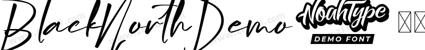 BlackNorthDemo字体转换