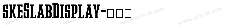 skeSlabDisplay字体转换