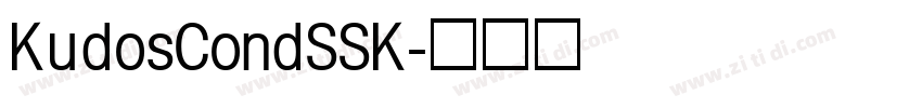 KudosCondSSK字体转换