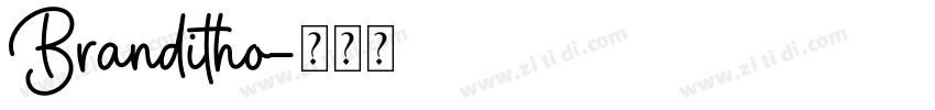 Branditho字体转换
