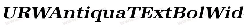URWAntiquaTExtBolWid字体转换