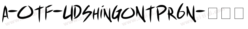 A-OTF-UDShinGoNTPr6N字体转换