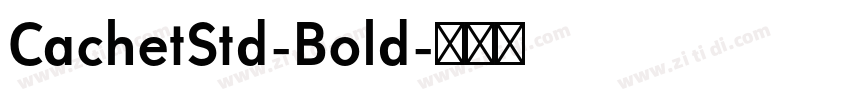 CachetStd-Bold字体转换