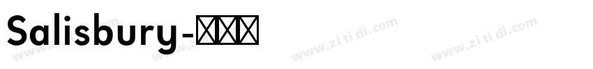 Salisbury字体转换