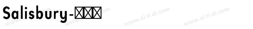 Salisbury字体转换