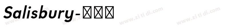 Salisbury字体转换