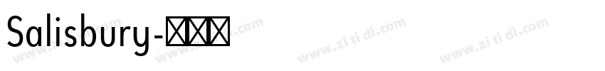 Salisbury字体转换
