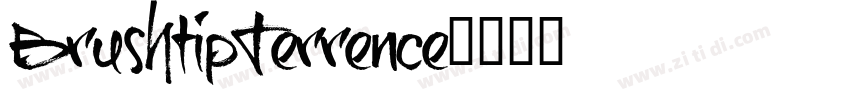 BrushtipTerrence字体转换