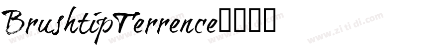 BrushtipTerrence字体转换
