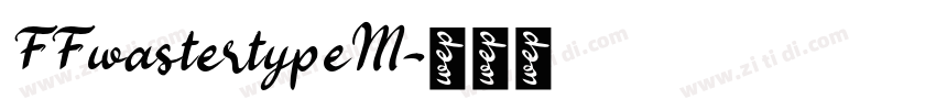 FFwastertypeM字体转换