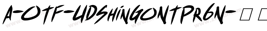 A-OTF-UDShinGoNTPr6N字体转换