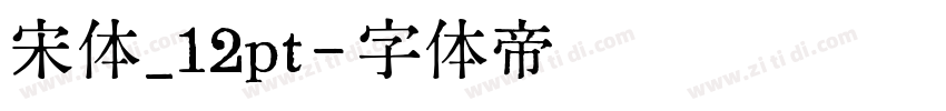 宋体_12pt字体转换