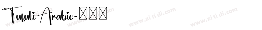 TufuliArabic字体转换