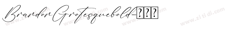BrandonGrotesquebold字体转换