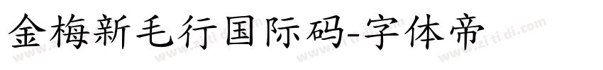金梅新毛行国际码字体转换