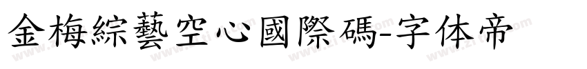 金梅綜藝空心國際碼字体转换
