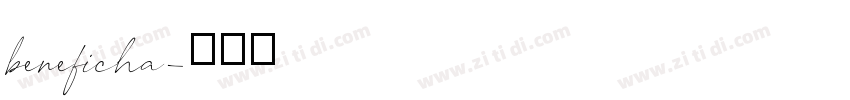 beneficha字体转换