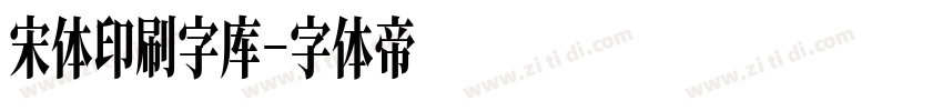 宋体印刷字库字体转换