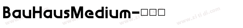 BauHausMedium字体转换